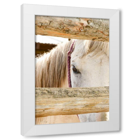 Peek White Modern Wood Framed Art Print by Murdock, Ramona