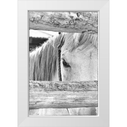Peek B and W White Modern Wood Framed Art Print by Murdock, Ramona