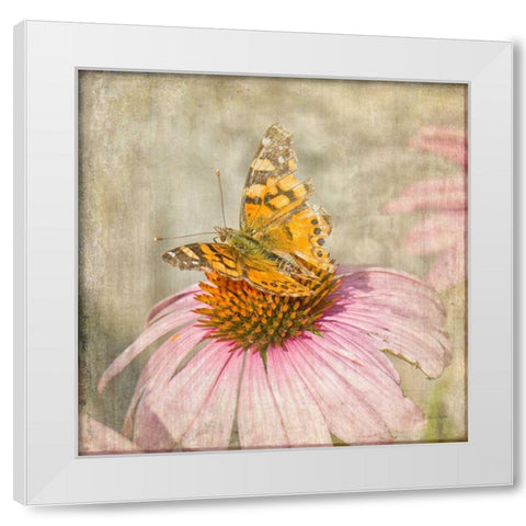 Tattered Butterfly White Modern Wood Framed Art Print by Murdock, Ramona