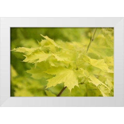 Spring Leaves I White Modern Wood Framed Art Print by Murdock, Ramona