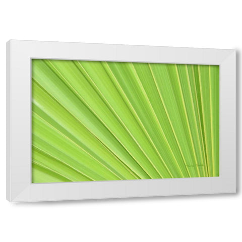 Perfect White Modern Wood Framed Art Print by Murdock, Ramona