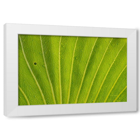 Almost Perfect White Modern Wood Framed Art Print by Murdock, Ramona