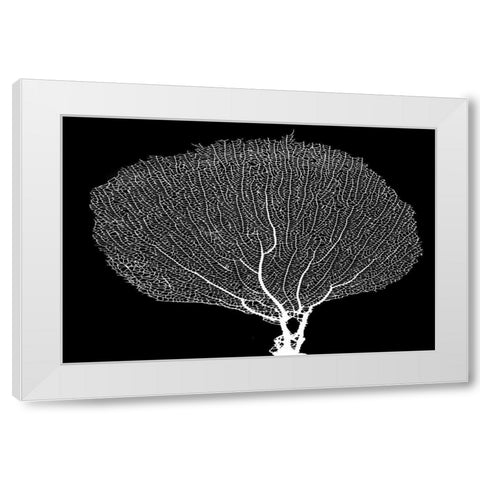 Fan Coral Drama White Modern Wood Framed Art Print by Murdock, Ramona