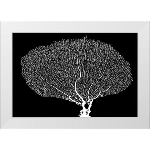 Fan Coral Drama White Modern Wood Framed Art Print by Murdock, Ramona