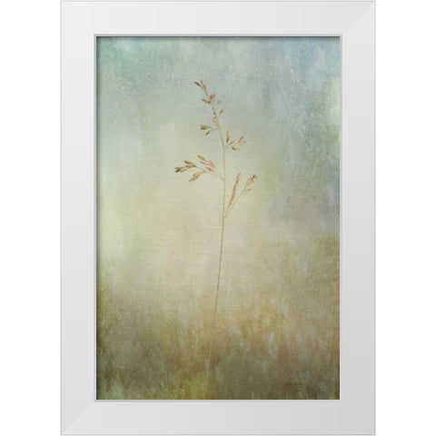 Marsh Grass White Modern Wood Framed Art Print by Murdock, Ramona