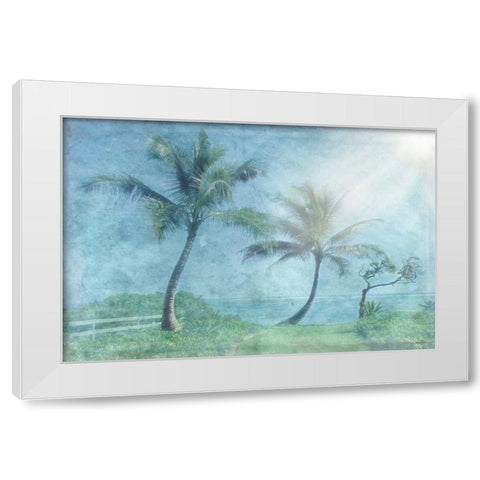 Paradise Found White Modern Wood Framed Art Print by Murdock, Ramona