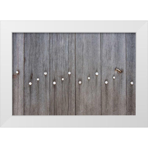 Weathered Wood White Modern Wood Framed Art Print by Murdock, Ramona