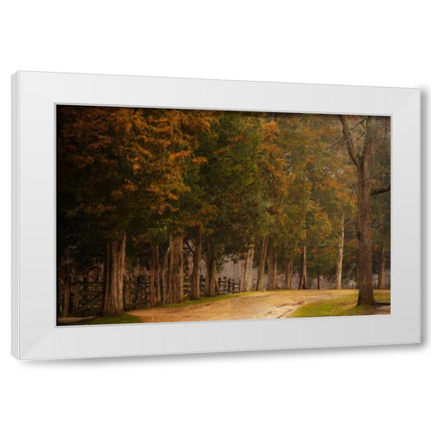 A Road Less Traveled White Modern Wood Framed Art Print by Murdock, Ramona