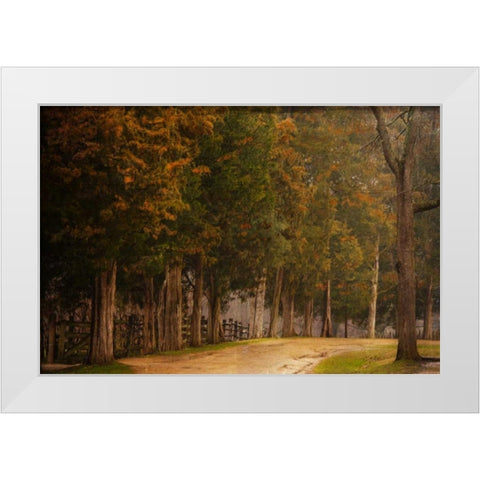 A Road Less Traveled White Modern Wood Framed Art Print by Murdock, Ramona