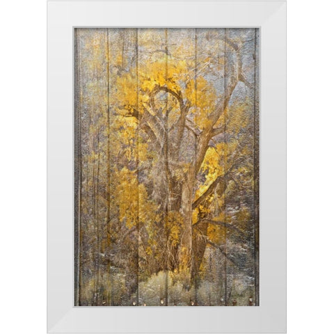 Autumn Tree White Modern Wood Framed Art Print by Murdock, Ramona