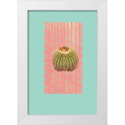 Barrel Cactus White Modern Wood Framed Art Print by Murdock, Ramona