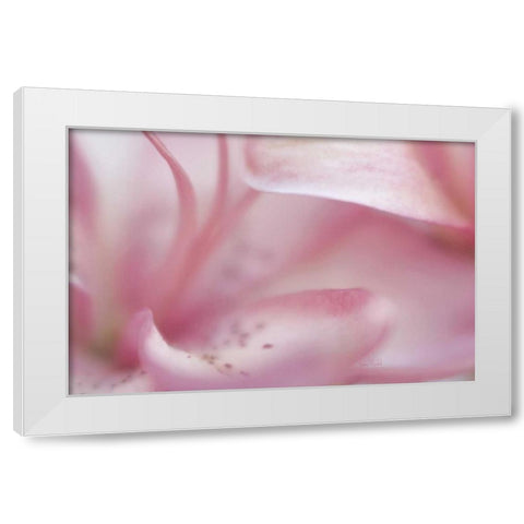 Fairy Land II White Modern Wood Framed Art Print by Murdock, Ramona