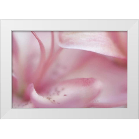 Fairy Land II White Modern Wood Framed Art Print by Murdock, Ramona