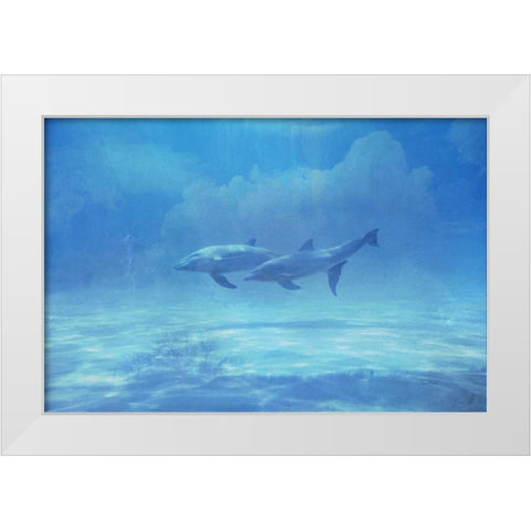 Dolphin Adventure White Modern Wood Framed Art Print by Murdock, Ramona
