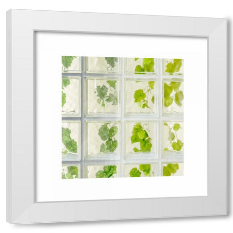 Ivy Window White Modern Wood Framed Art Print by Murdock, Ramona