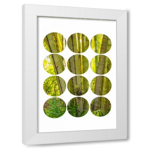 Bamboo Trees White Modern Wood Framed Art Print by Murdock, Ramona
