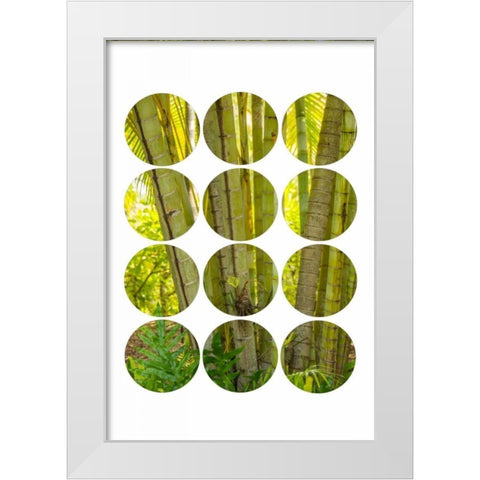 Bamboo Trees White Modern Wood Framed Art Print by Murdock, Ramona