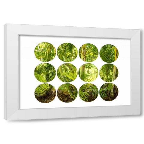 Palm Trees White Modern Wood Framed Art Print by Murdock, Ramona