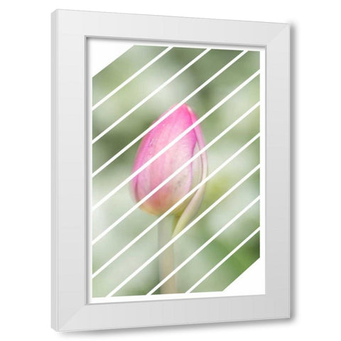 Spring Tulip White Modern Wood Framed Art Print by Murdock, Ramona