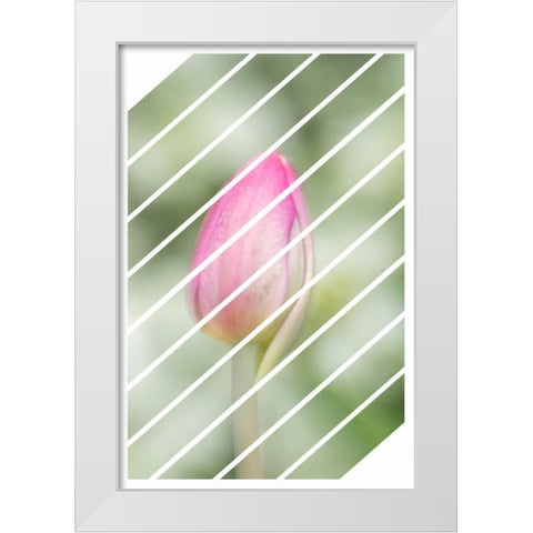 Spring Tulip White Modern Wood Framed Art Print by Murdock, Ramona