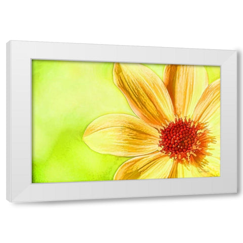 Daisy Glow White Modern Wood Framed Art Print by Murdock, Ramona