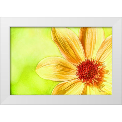 Daisy Glow White Modern Wood Framed Art Print by Murdock, Ramona