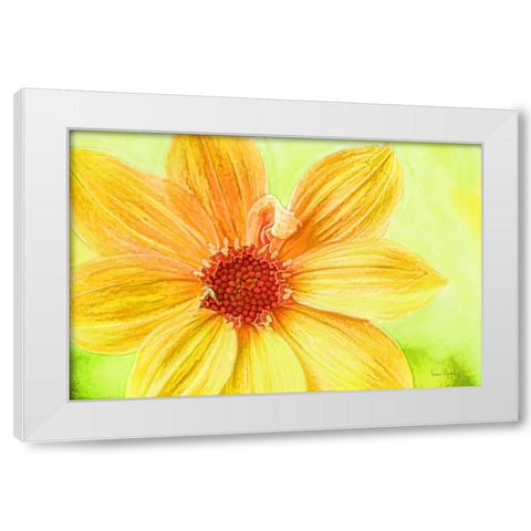 Daisy Love White Modern Wood Framed Art Print by Murdock, Ramona