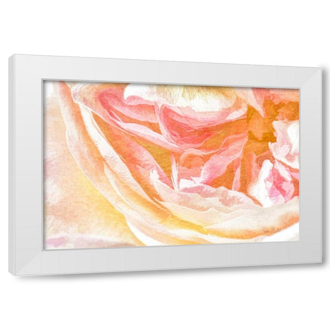 Close-up Rose White Modern Wood Framed Art Print by Murdock, Ramona