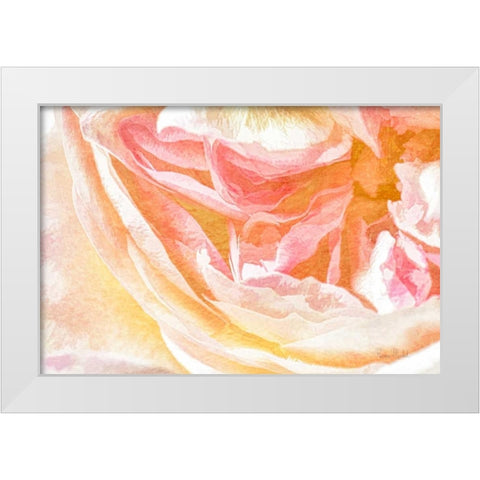 Close-up Rose White Modern Wood Framed Art Print by Murdock, Ramona