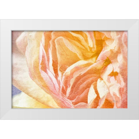 Dew Drop In White Modern Wood Framed Art Print by Murdock, Ramona