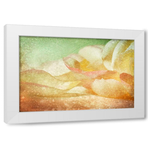 Petals Galore White Modern Wood Framed Art Print by Murdock, Ramona