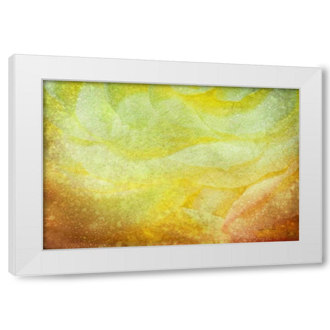 Subtle Petals White Modern Wood Framed Art Print by Murdock, Ramona
