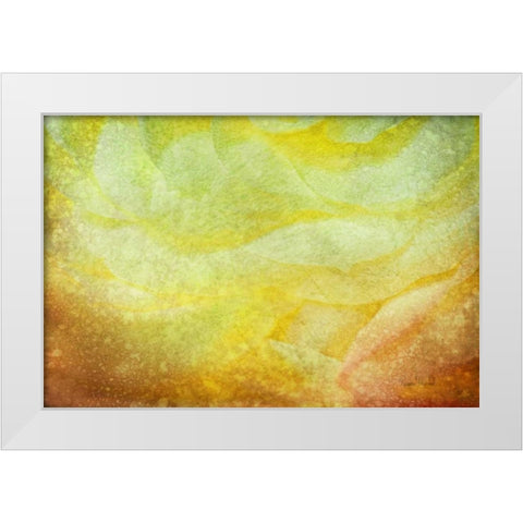 Subtle Petals White Modern Wood Framed Art Print by Murdock, Ramona