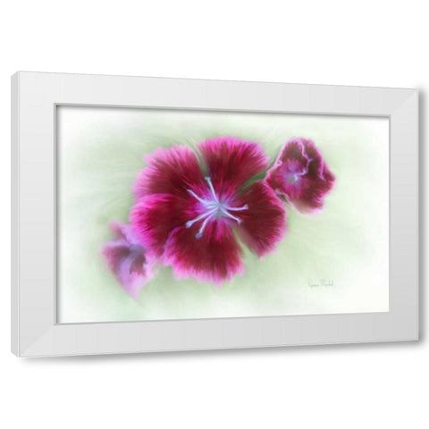 Bachelor Buttons II White Modern Wood Framed Art Print by Murdock, Ramona