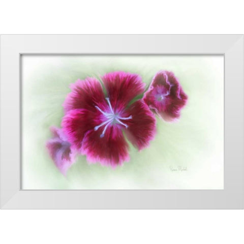 Bachelor Buttons II White Modern Wood Framed Art Print by Murdock, Ramona