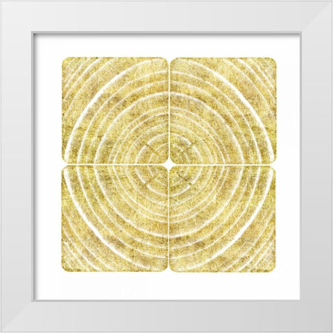 Tree Ring Triptych II White Modern Wood Framed Art Print by Murdock, Ramona