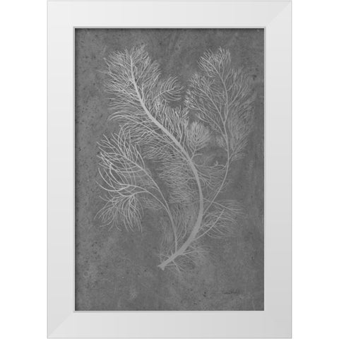 Fern Algae Silver on Black White Modern Wood Framed Art Print by Murdock, Ramona