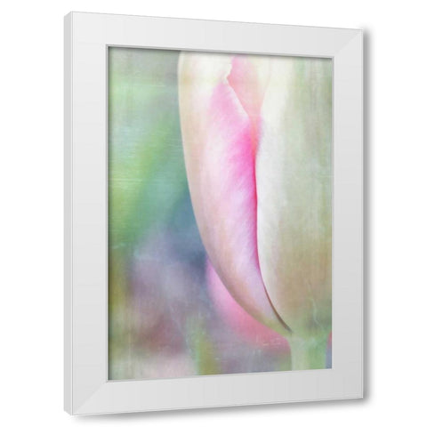 Spring Beauty II White Modern Wood Framed Art Print by Murdock, Ramona