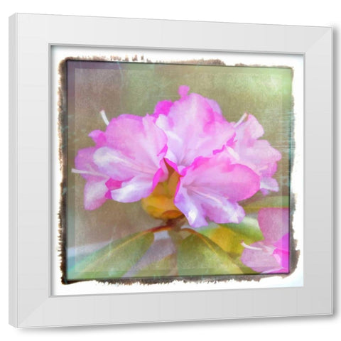 Full Blossom White Modern Wood Framed Art Print by Murdock, Ramona