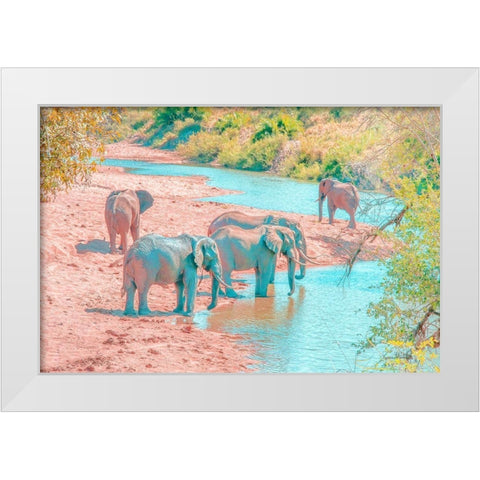 Waterhole Rendezvous II White Modern Wood Framed Art Print by Murdock, Ramona