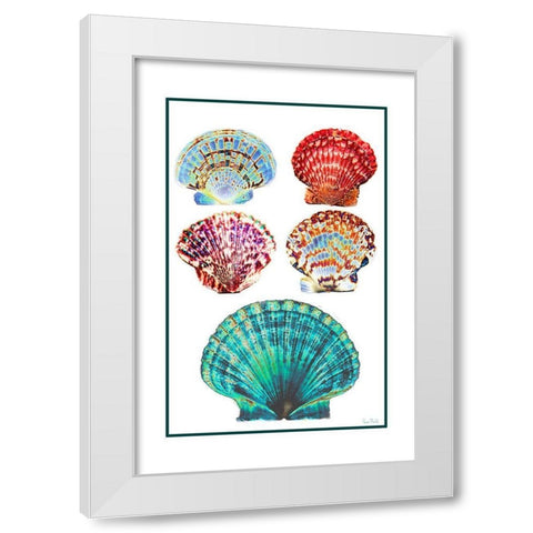 Seashell Collection I White Modern Wood Framed Art Print by Murdock, Ramona