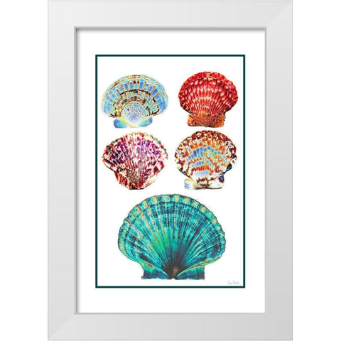 Seashell Collection I White Modern Wood Framed Art Print by Murdock, Ramona