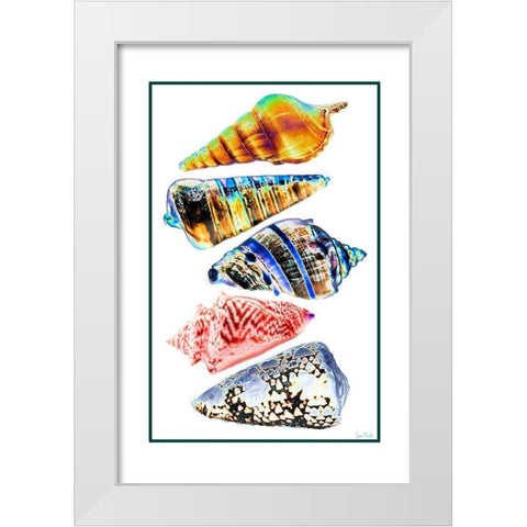 Seashell Collection II White Modern Wood Framed Art Print by Murdock, Ramona