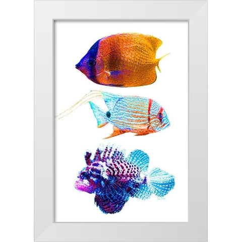 Fish Trio White Modern Wood Framed Art Print by Murdock, Ramona