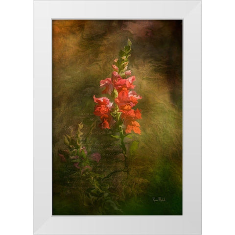 Snapdragon Twilight II White Modern Wood Framed Art Print by Murdock, Ramona