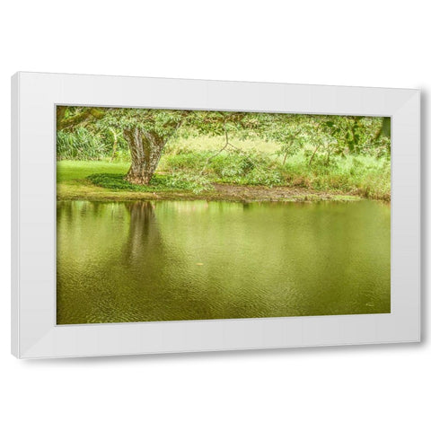 A Place of Peace I White Modern Wood Framed Art Print by Murdock, Ramona