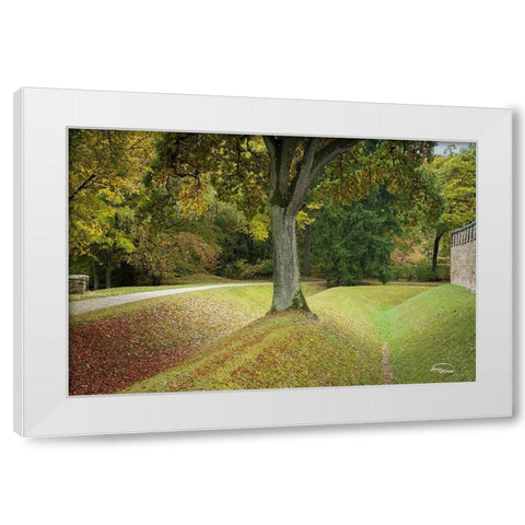 Outside the Wall II White Modern Wood Framed Art Print by Murdock, Ramona