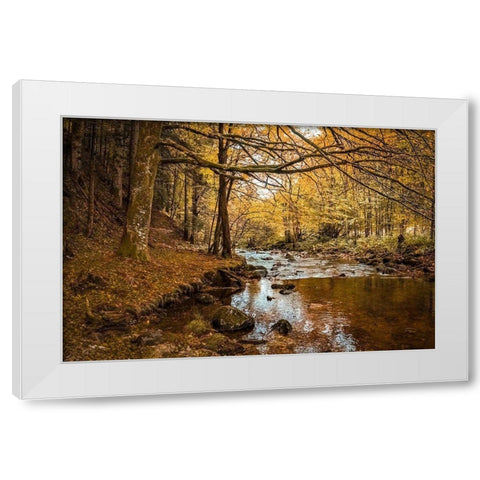 Black Forest River White Modern Wood Framed Art Print by Murdock, Ramona