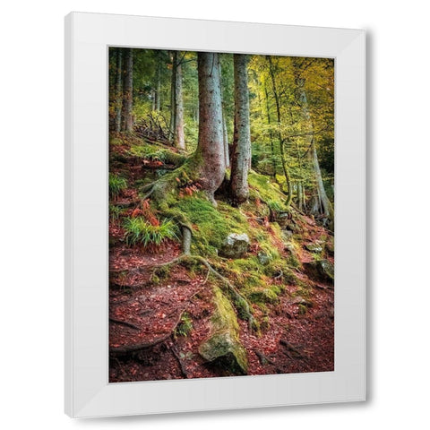 Overseers of the Path White Modern Wood Framed Art Print by Murdock, Ramona