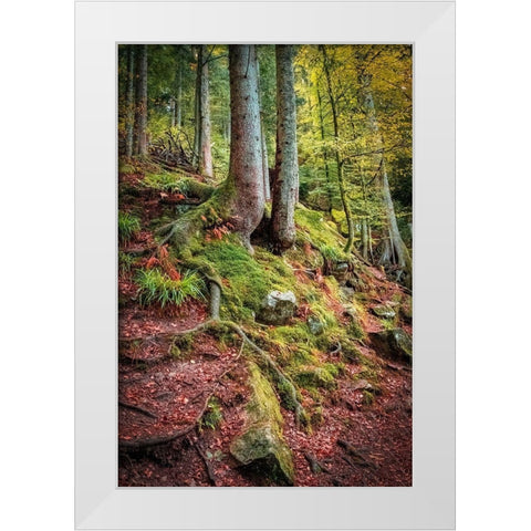 Overseers of the Path White Modern Wood Framed Art Print by Murdock, Ramona